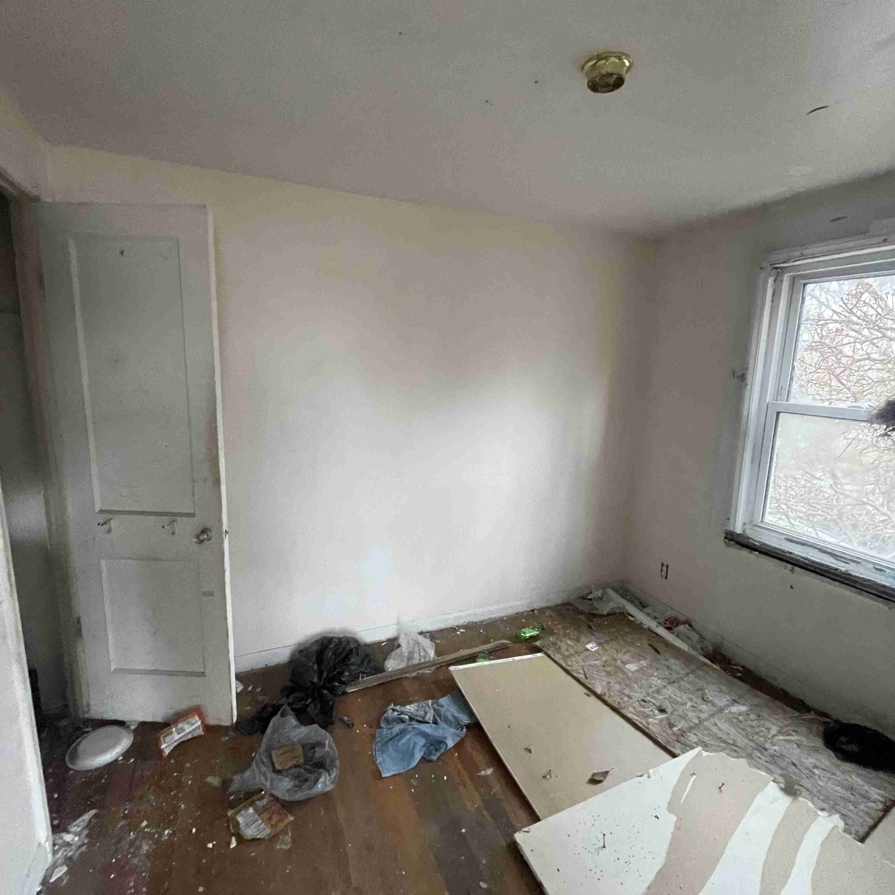 20017 Schoenherr (87).jpg